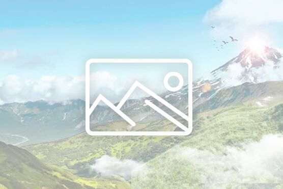 56.nt必赢官网2026届本科毕业生学术诚信倡议书